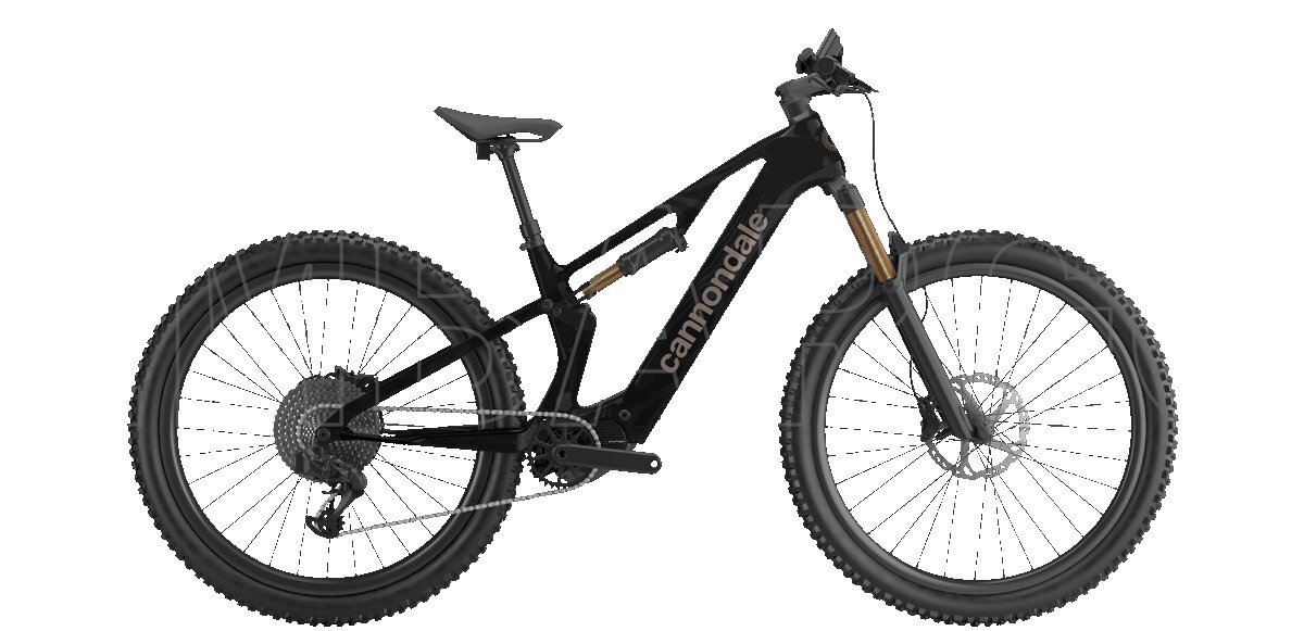 Cannondale Moterra SL 1