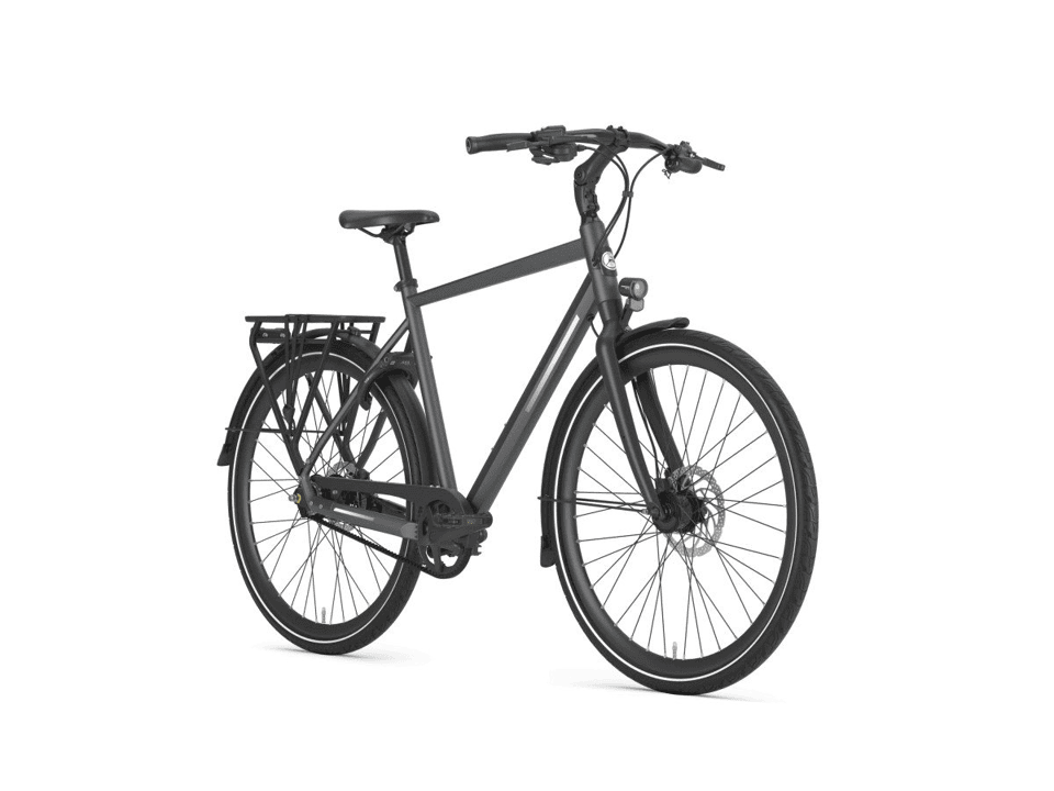 Gazelle Chamonix S11 - Afbeelding 1