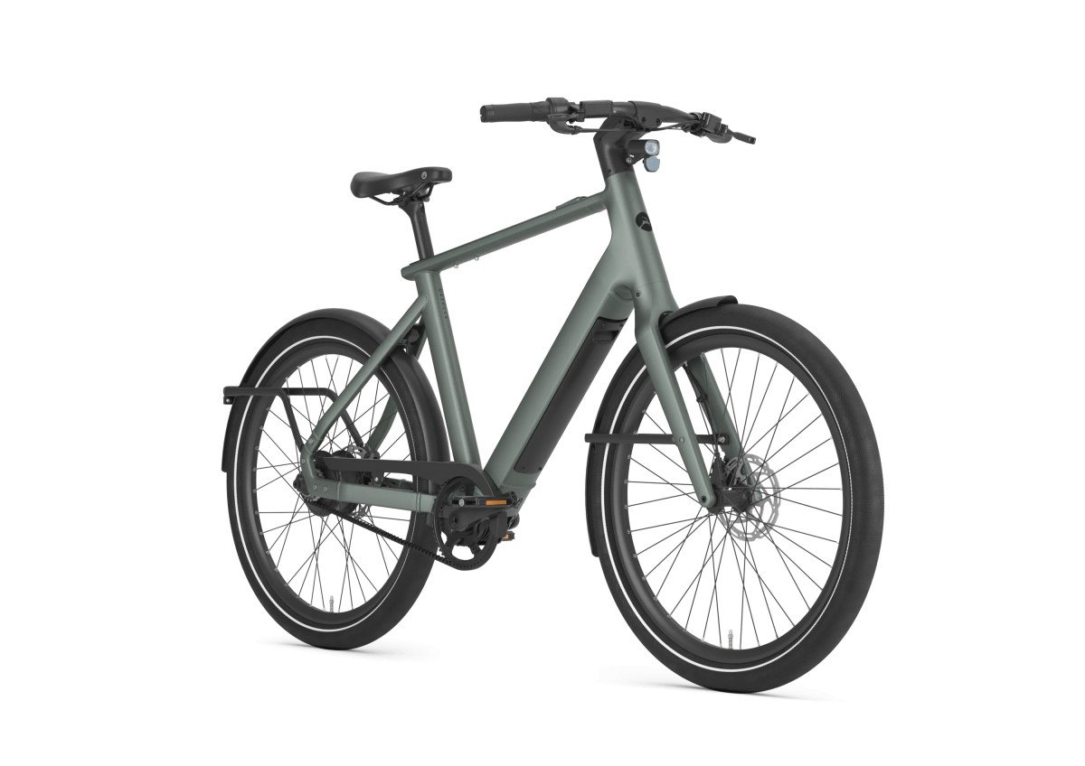 Gazelle Cayo C310  - Afbeelding 3