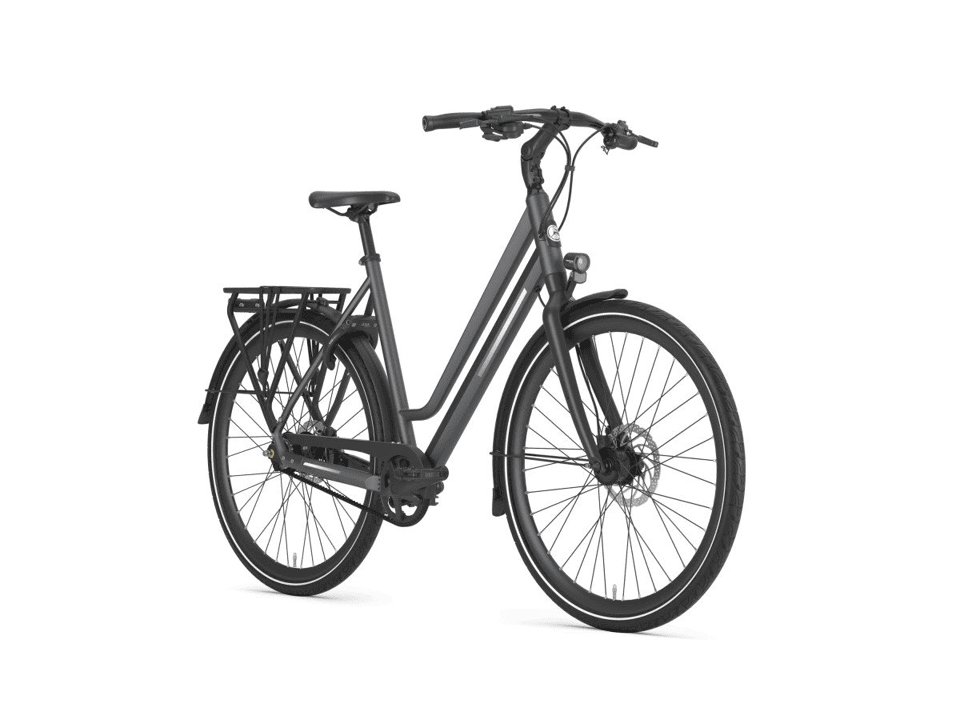Gazelle Chamonix S11 - Afbeelding 1