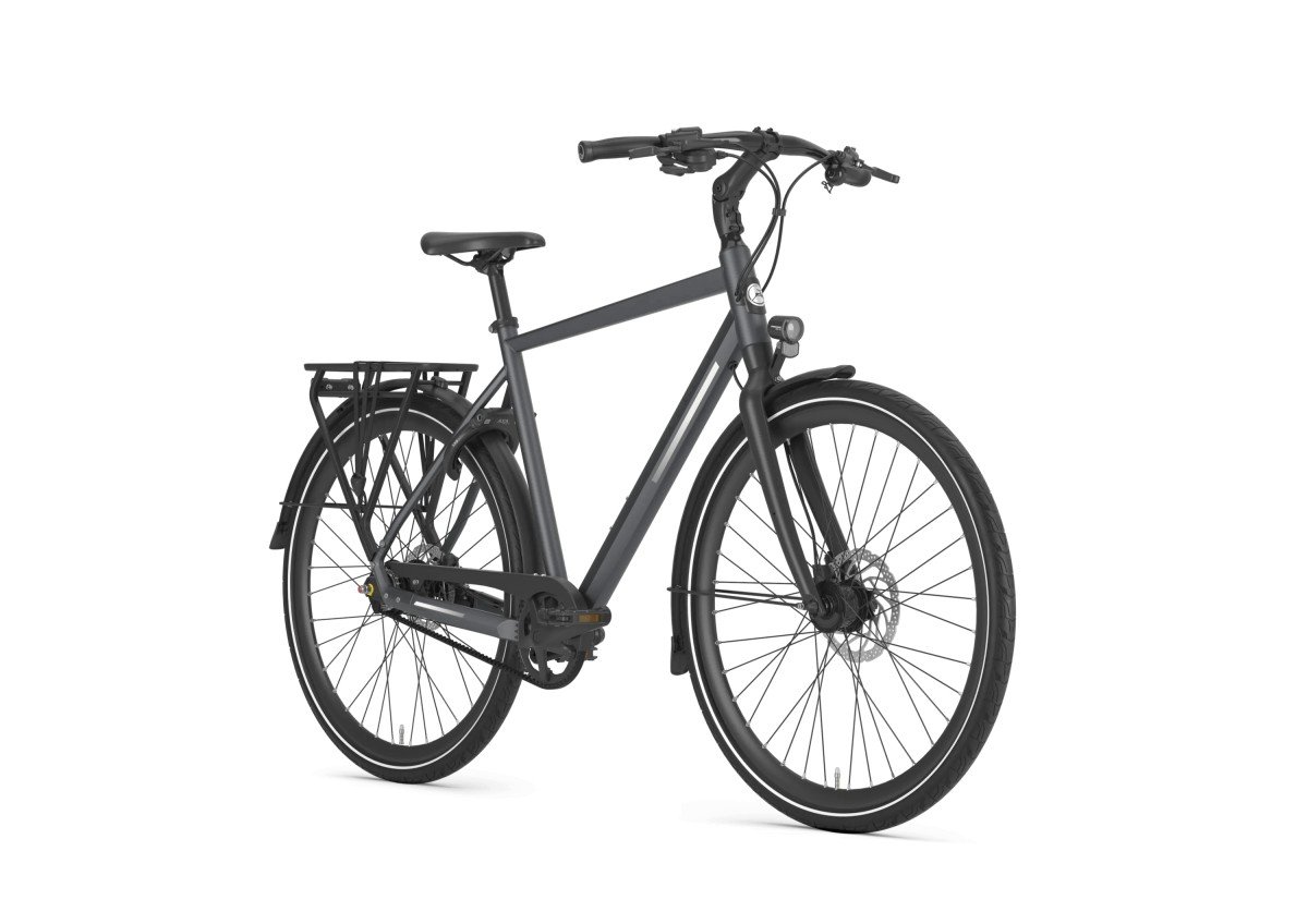 Gazelle Chamonix S11  - Afbeelding 3