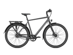 Gazelle Chamonix S11 - Afbeelding 2