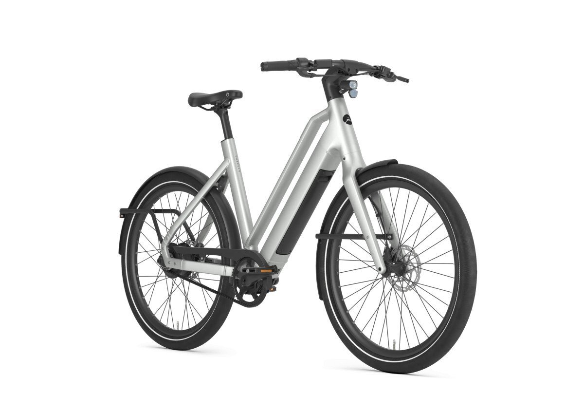 Gazelle Cayo C310  - Afbeelding 2