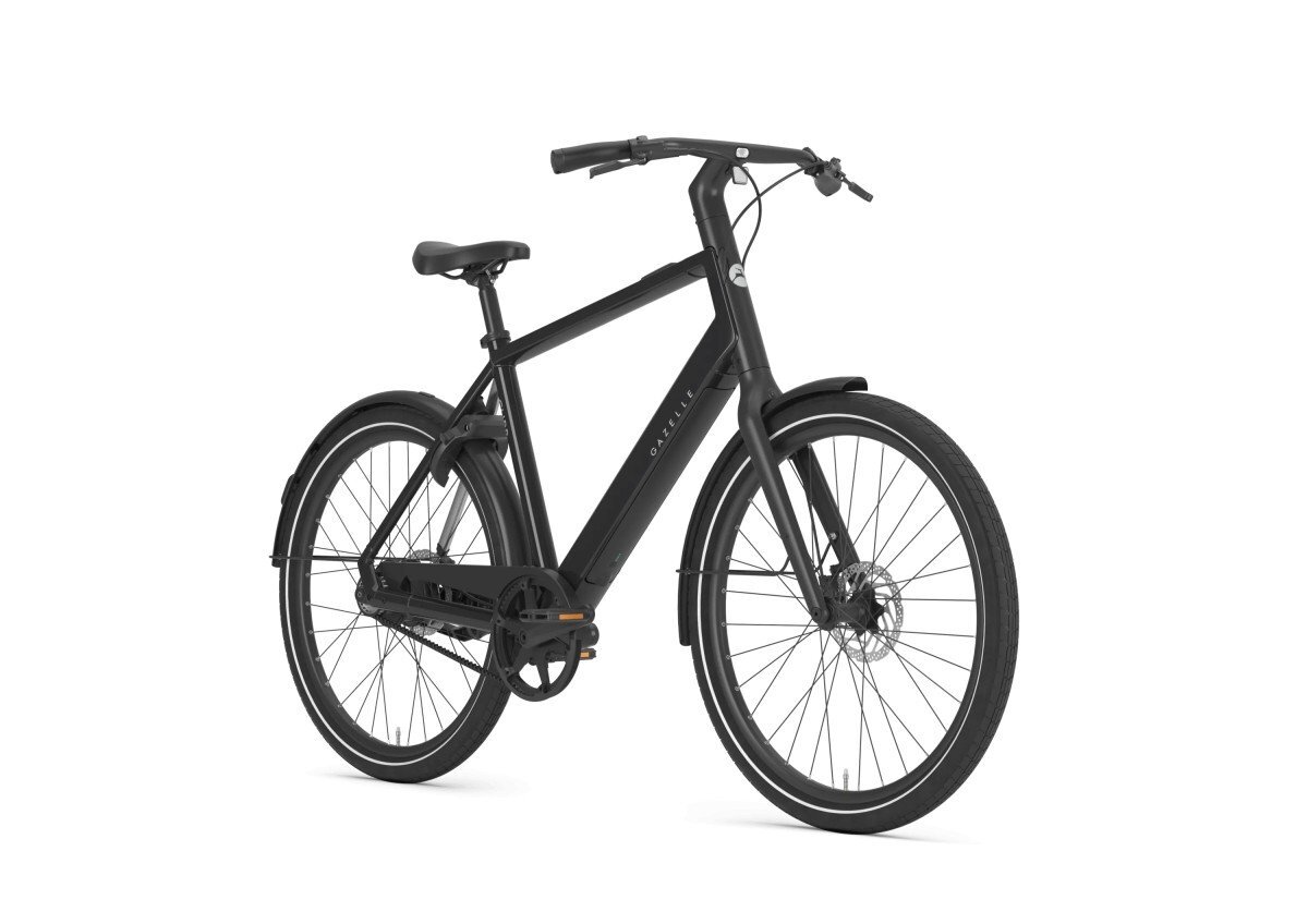 Gazelle Curb C1