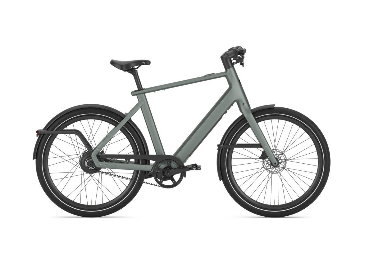 Gazelle Cayo C310  - Afbeelding 2