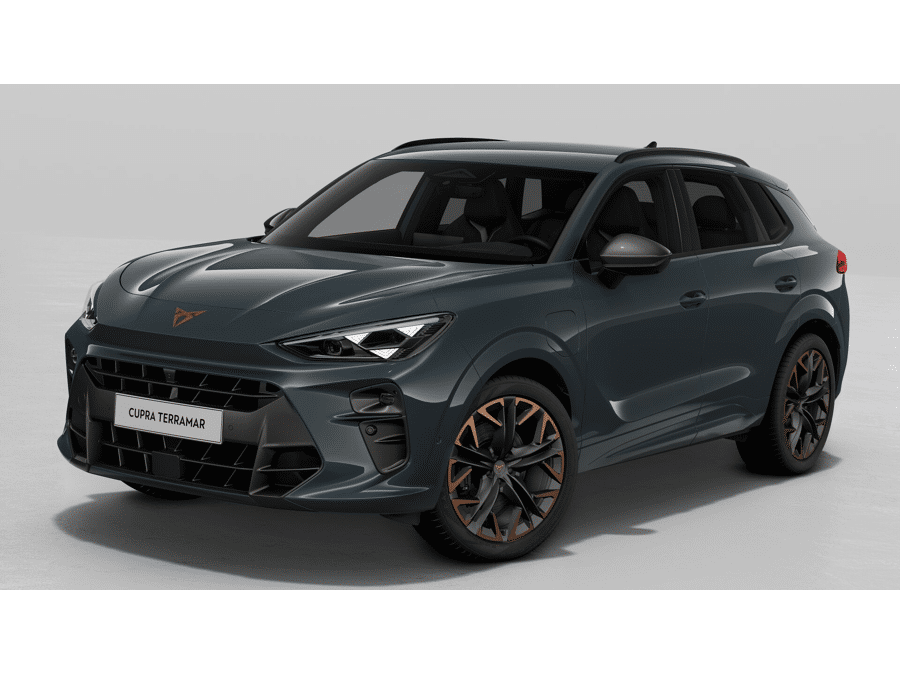 CUPRA Terramar Business - Afbeelding 1