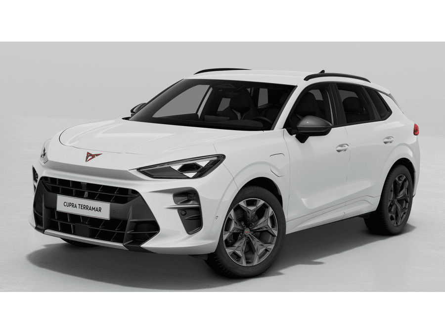 CUPRA Terramar Business - Afbeelding 1