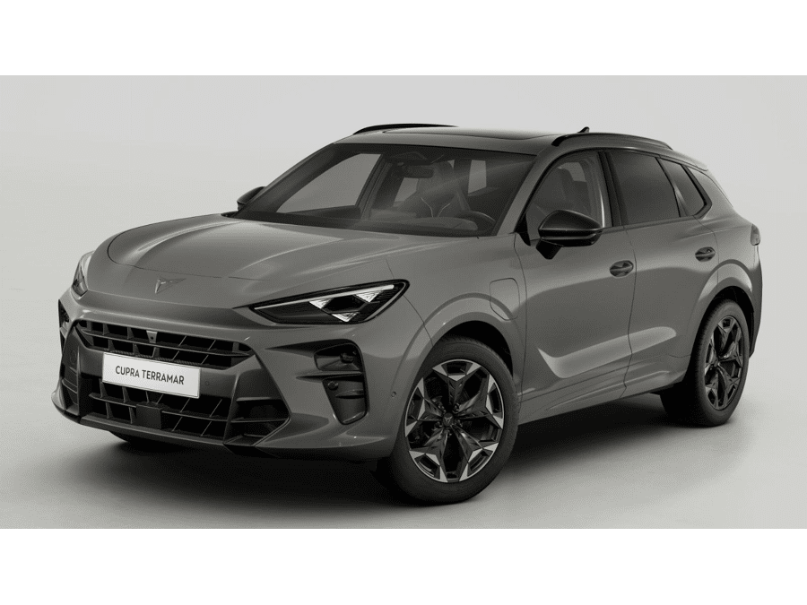 CUPRA Terramar Business - Afbeelding 1