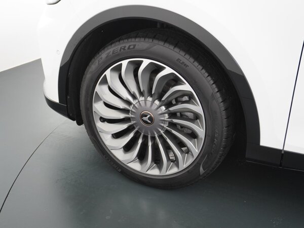 lichtmetalen velgen 20"