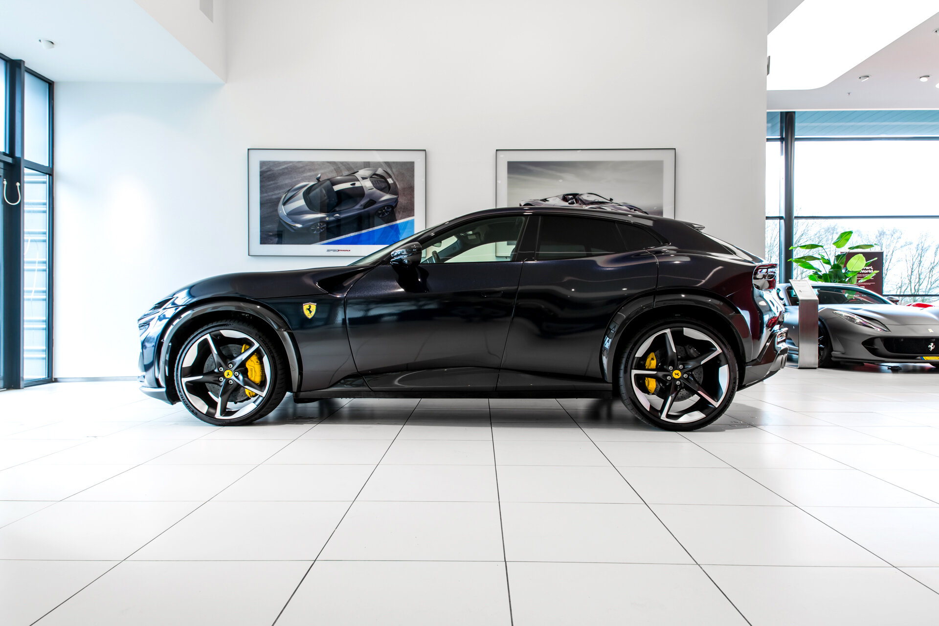 Ferrari Purosangue ~Ferrari Munsterhuis~