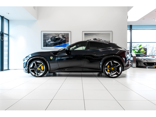 Ferrari Purosangue ~Ferrari Munsterhuis~