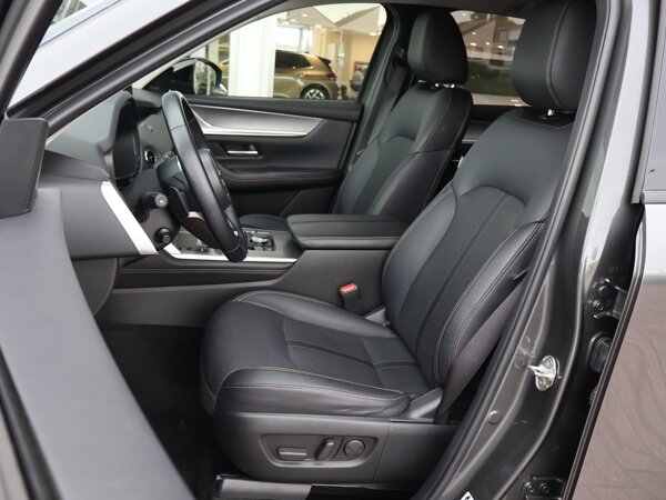 luxe lederen interieur