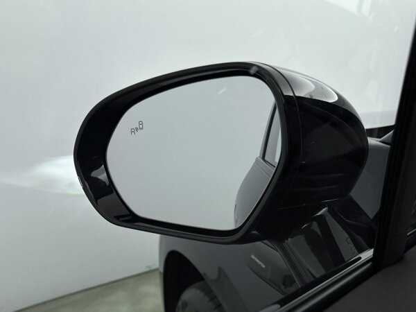 Canopy Grey