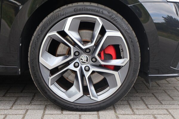 lichtmetalen velgen multi-spaaks 19"