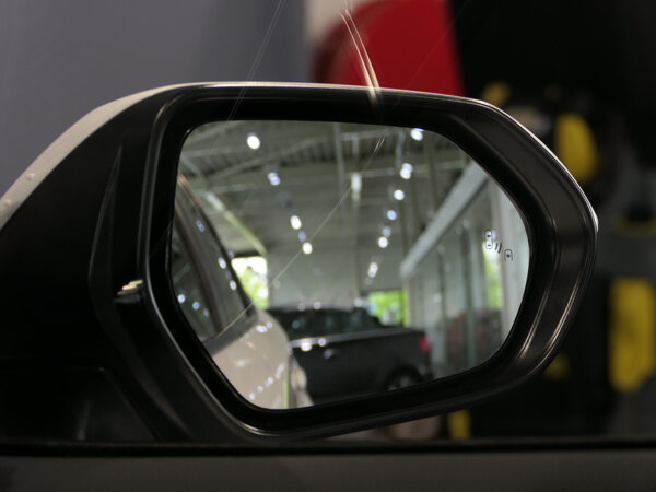 Dodehoek signalering (Blind Spot Warning)