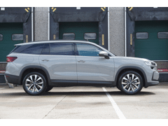 Škoda Kodiaq 1.5 TSI 204pk PHEV Business Edition - Afbeelding 3