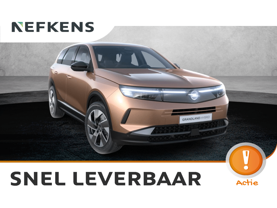 Opel Grandland Business Edition - Afbeelding 1