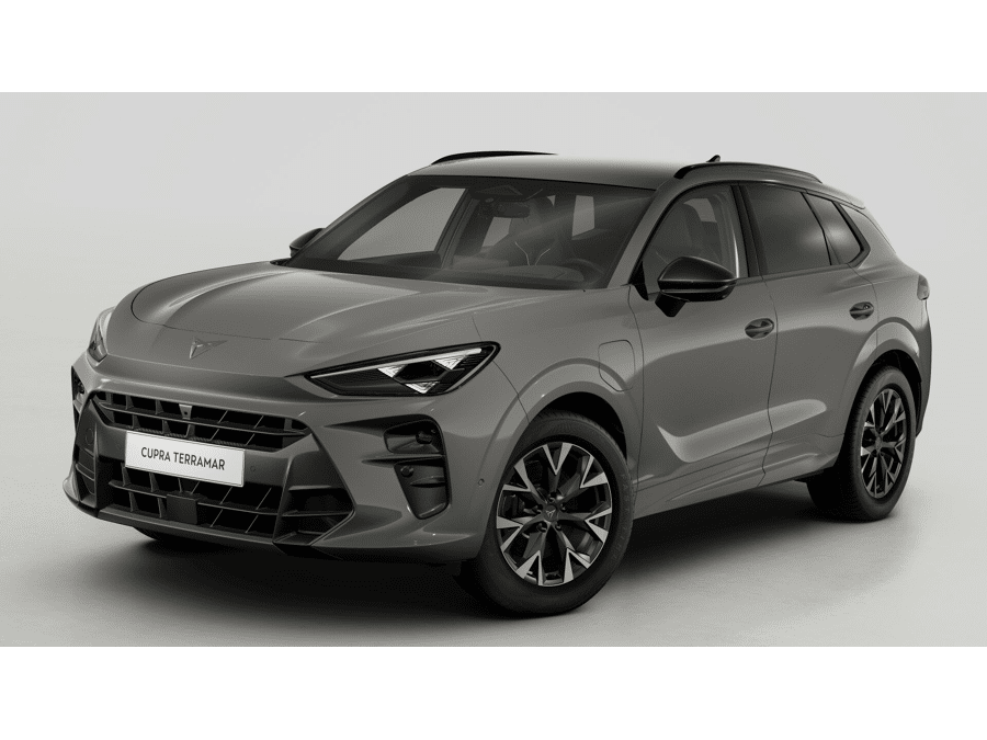 CUPRA Terramar Business - Afbeelding 1