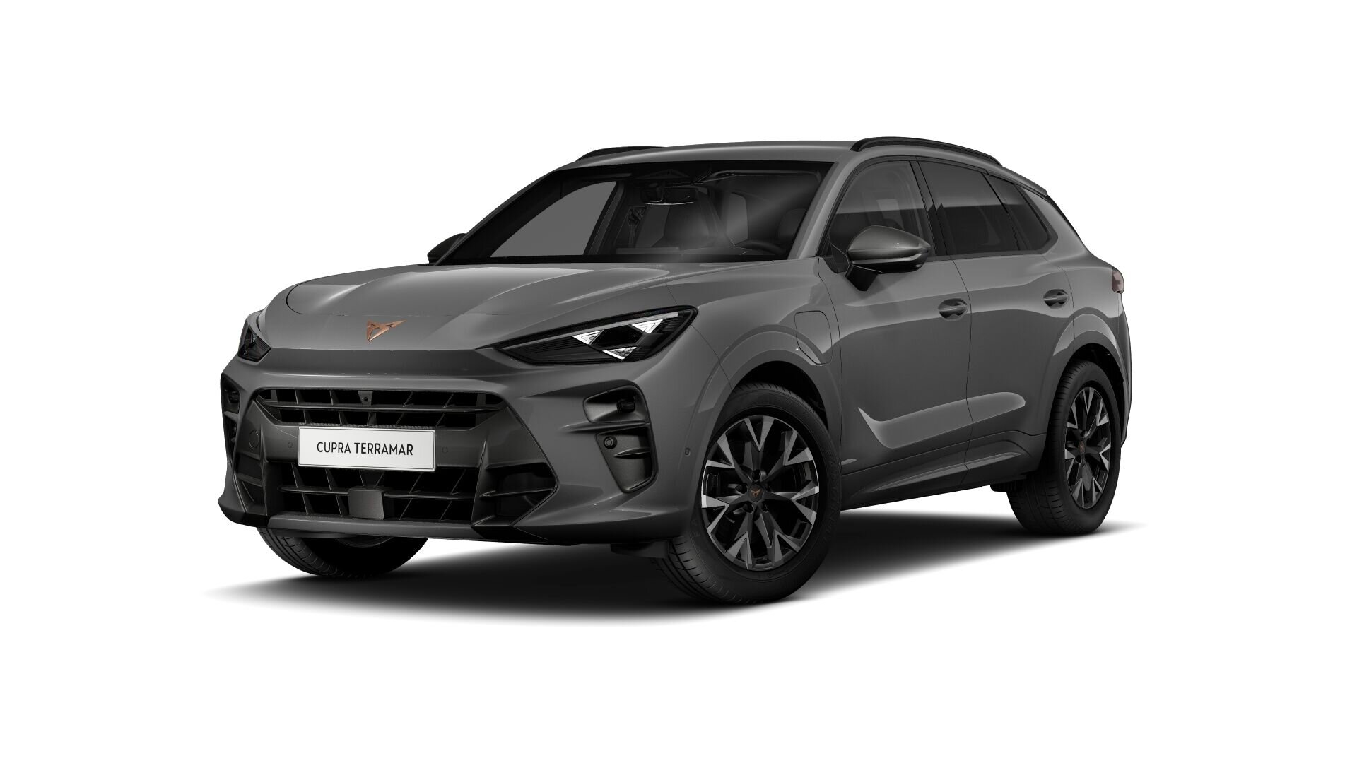 CUPRA Terramar Business - Afbeelding 2