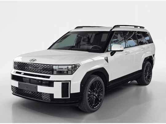 Hyundai Santa Fe 1.6 T-GDI PHEV 4WD Black Line | 6-zitter | Navigatie | Leder