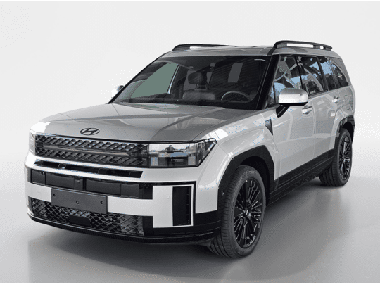 Hyundai Santa Fe 1.6 T-GDI PHEV 4WD Black Line | 6-zitter | Navigatie | Leder