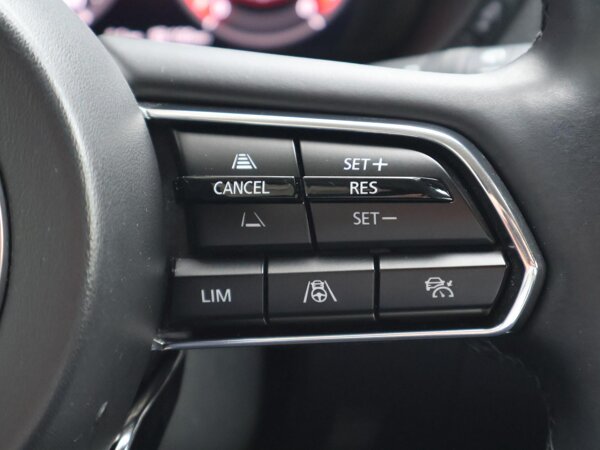 cruise control adaptief met Stop&Go en stuurhulp