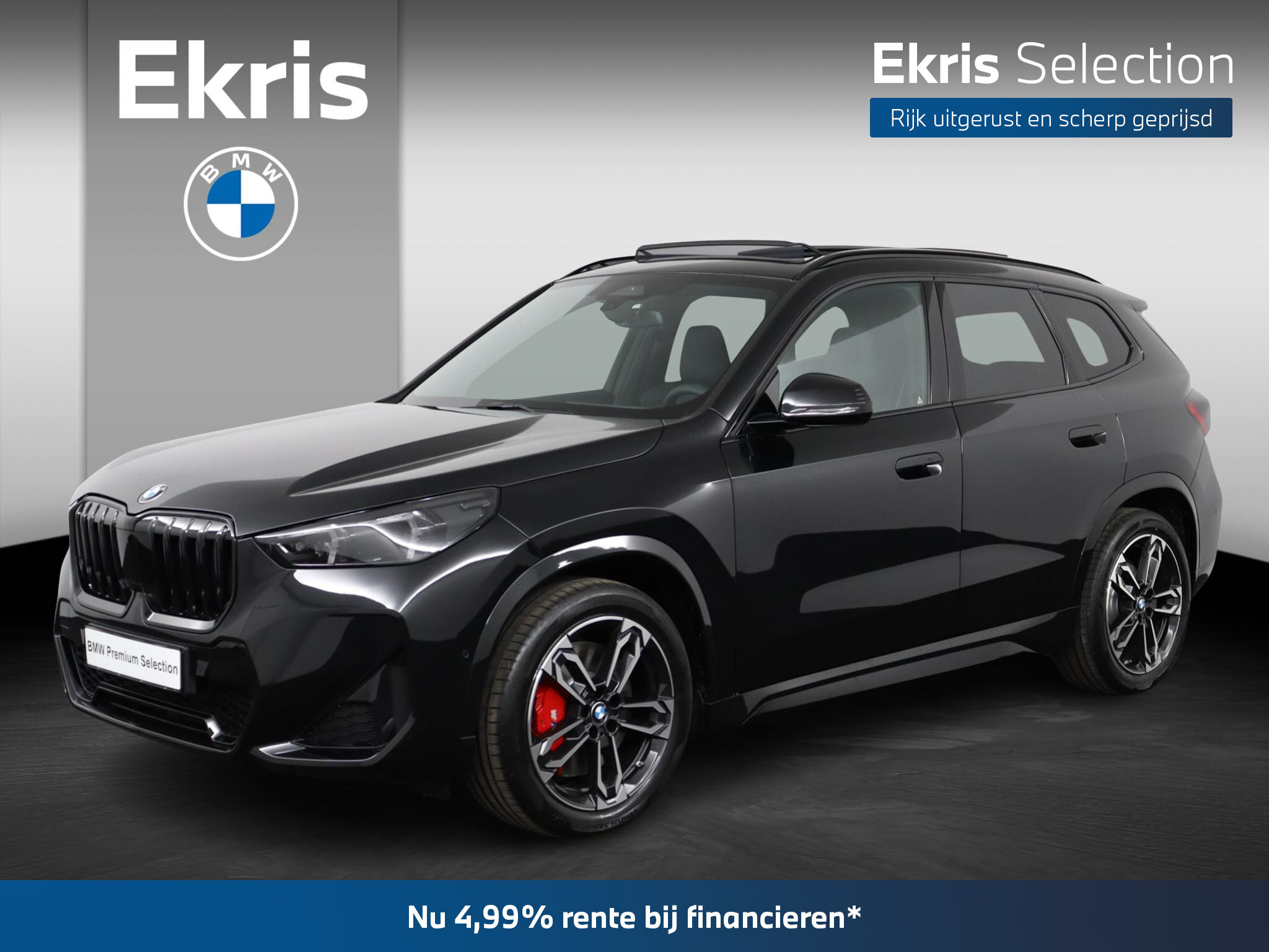 BMW X1 sDrive20i