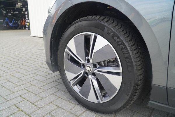 lichtmetalen velgen multi-spaaks 19"