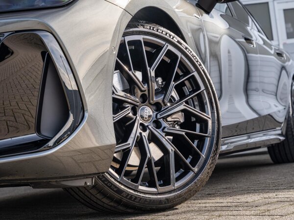 lichtmetalen velgen veel-spaaks 21" lichtmetalen velgen veel-spaaks 21"