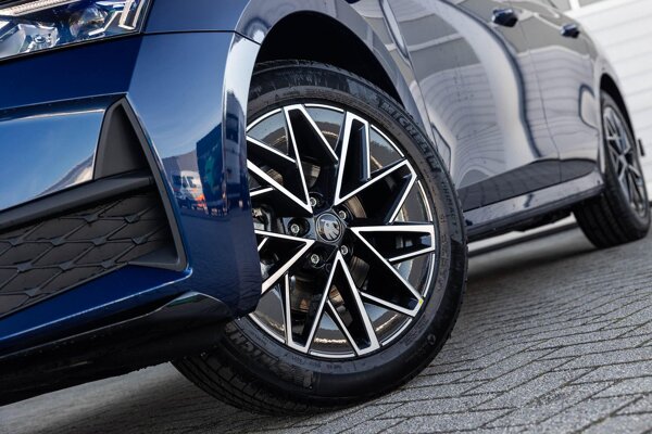 lichtmetalen velgen 10-spaaks 17" lichtmetalen velgen 10-spaaks 17"