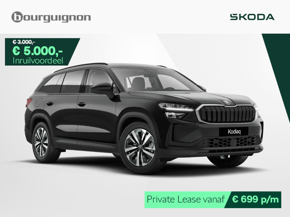 Škoda Kodiaq Business Edition 1.5 TSI PHEV 204pk - Afbeelding 1