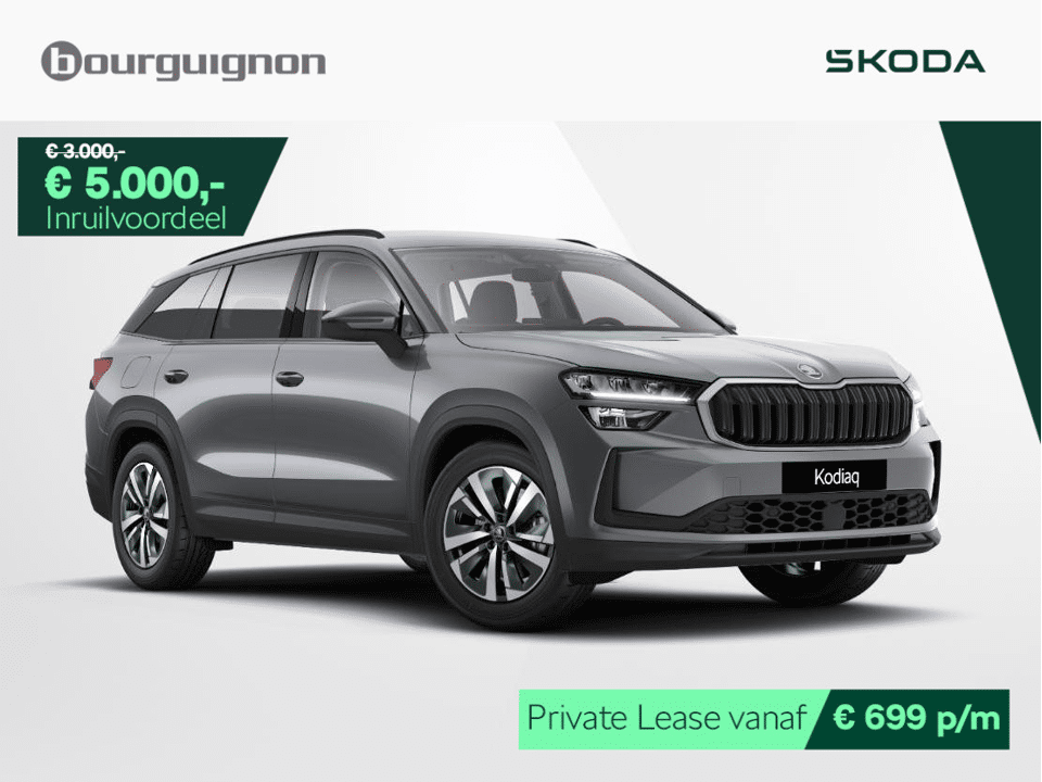 Škoda Kodiaq Business Edition 1.5 TSI PHEV 204pk - Afbeelding 1