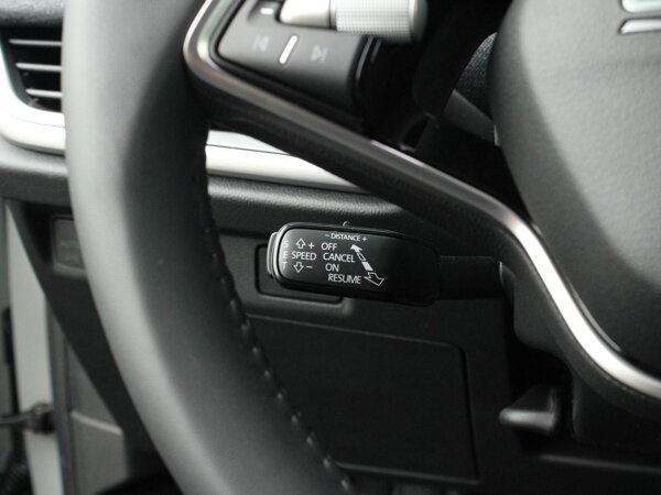 cruise control adaptief met Stop&Go en stuurhulp