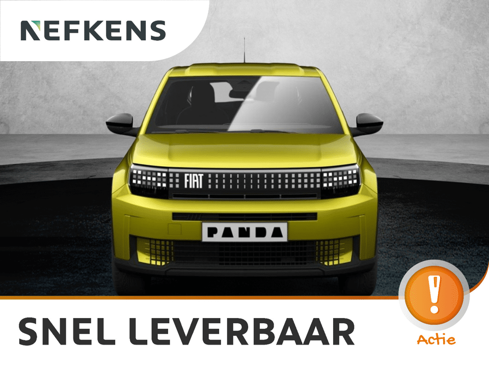 Fiat Grande Panda Icon - Afbeelding 1