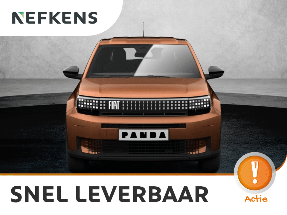 Fiat Grande Panda Icon - Afbeelding 1