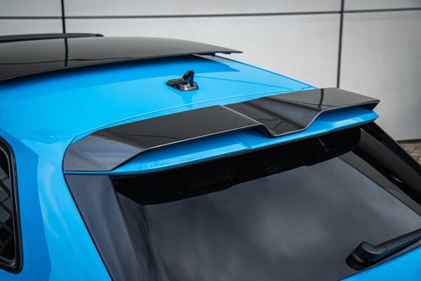 carbon exterieur delen carbon exterieur delen