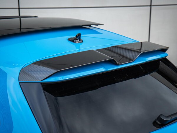 carbon exterieur delen carbon exterieur delen