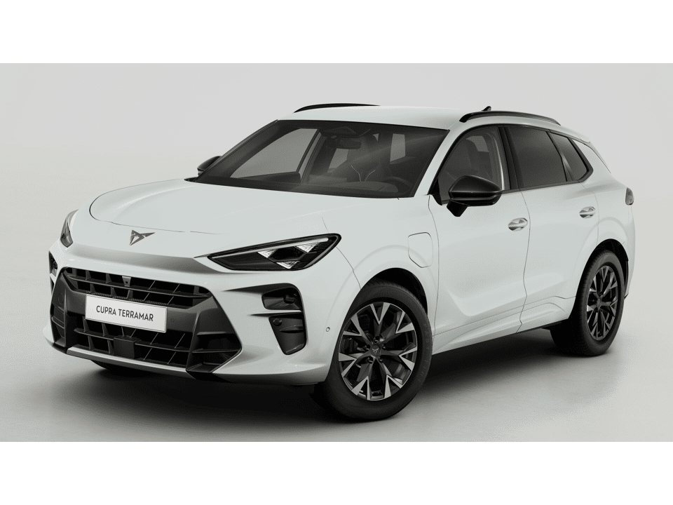 CUPRA Terramar Business - Afbeelding 1