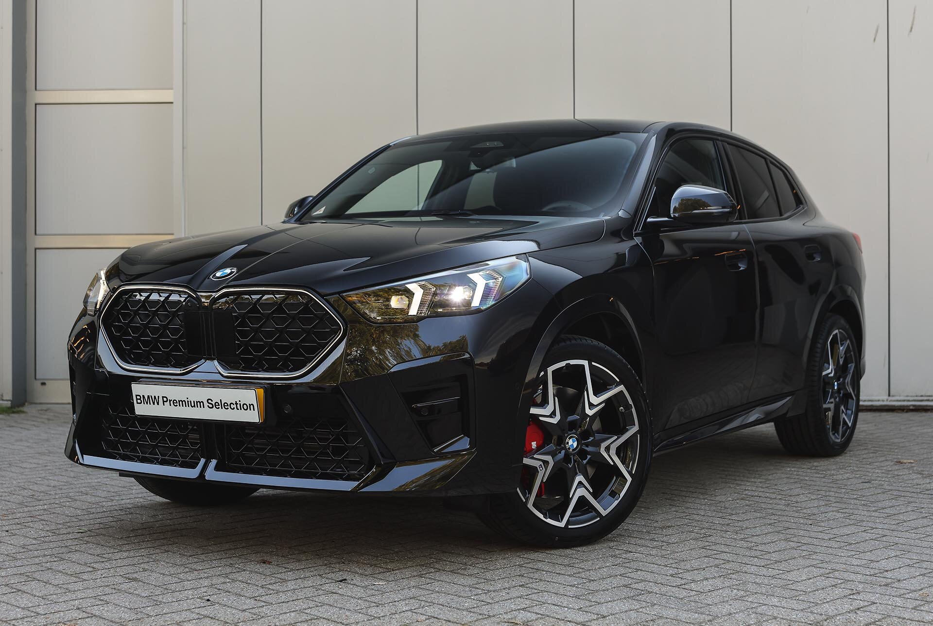 BMW X2 sDrive20i High Executive M Sport Automaat