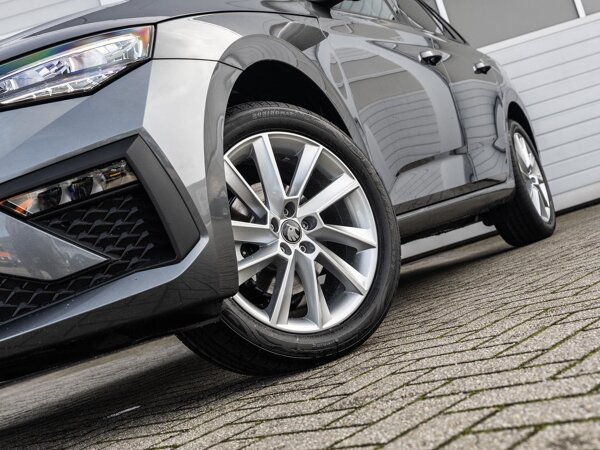 lichtmetalen velgen 10-spaaks 17"