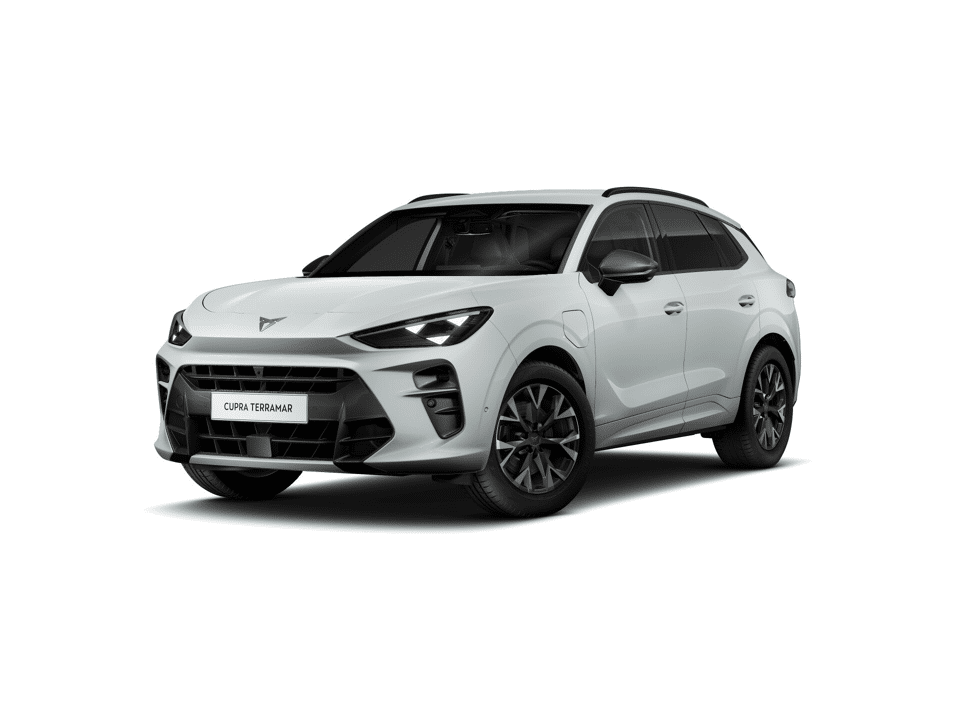 CUPRA Terramar Business - Afbeelding 1