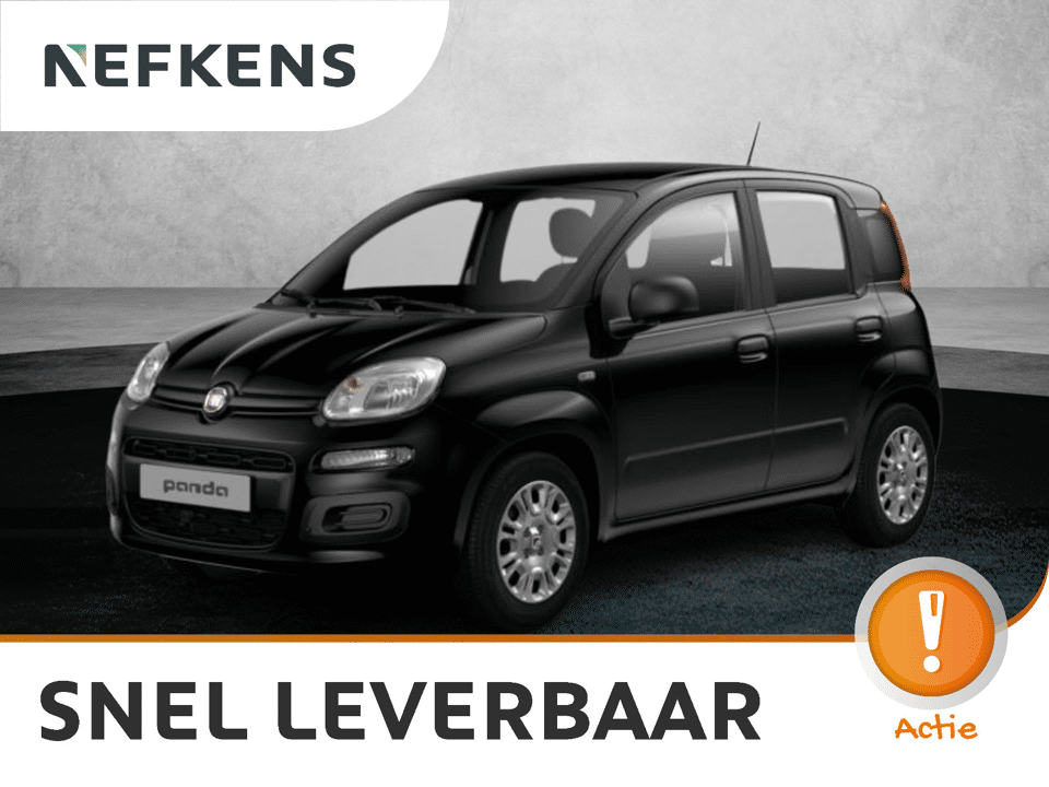Fiat Panda Pandina - Afbeelding 1
