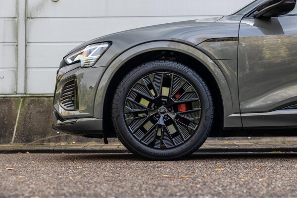 lichtmetalen velgen 5-spaaks 21" lichtmetalen velgen 5-spaaks 21"