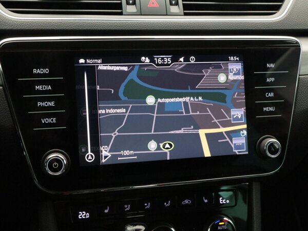 lichtmetalen velgen 17"