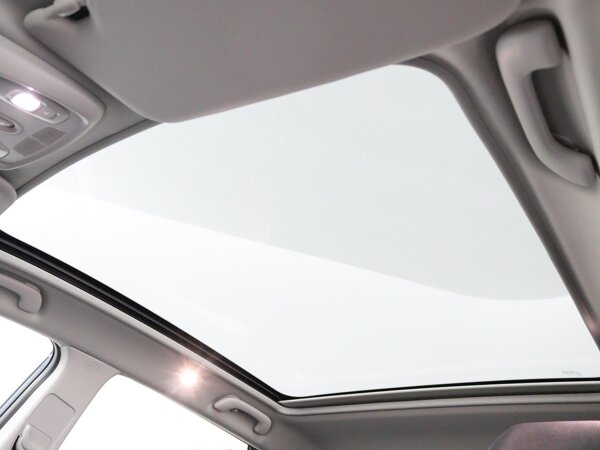 Panoramisch vast glazen dak