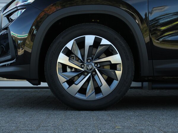 lichtmetalen velgen 19"