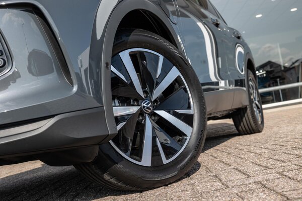 lichtmetalen velgen 19"