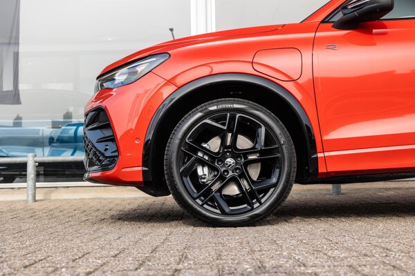 lichtmetalen velgen 20"