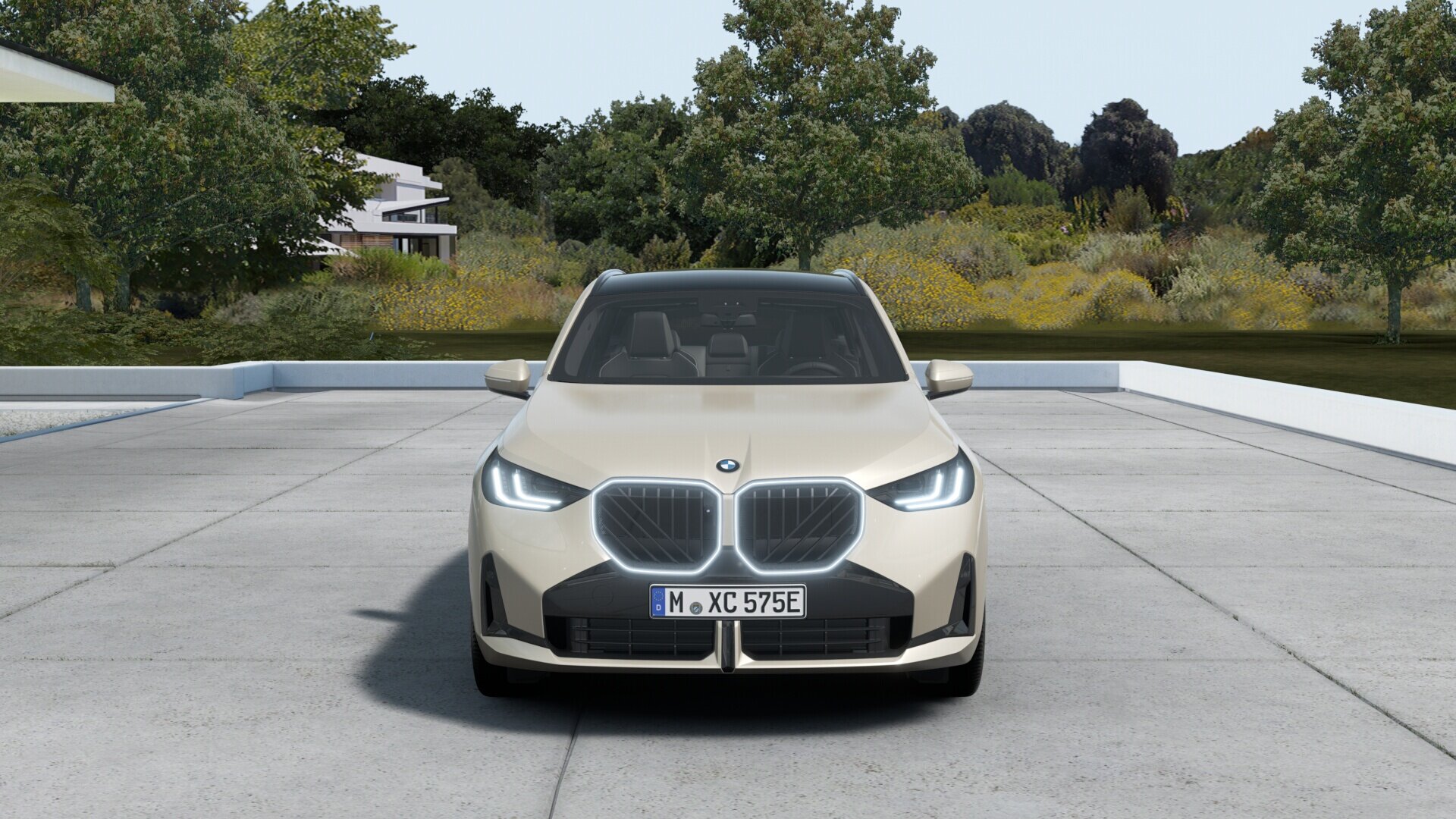 BMW X3 30e xDrive M Sport Automaat - Afbeelding 3