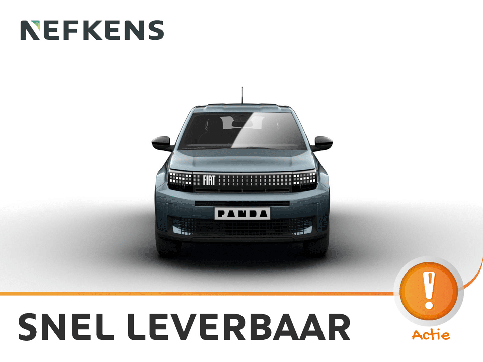 Fiat Grande Panda Icon - Afbeelding 1